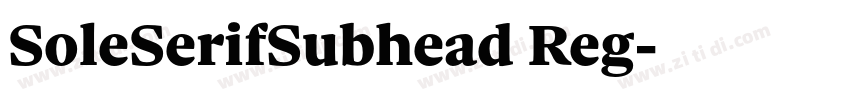 SoleSerifSubhead Reg字体转换